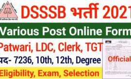 DSSSB TGT, Assistant Teacher, Patwari, LDC Online 2024