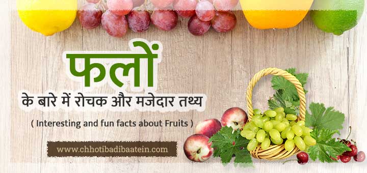 Read more about the article Fruits – फलों के बारे में पूरी जानकारी हिंदी में
