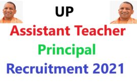 UP Assistant Teacher / Principal Recruitment 2024